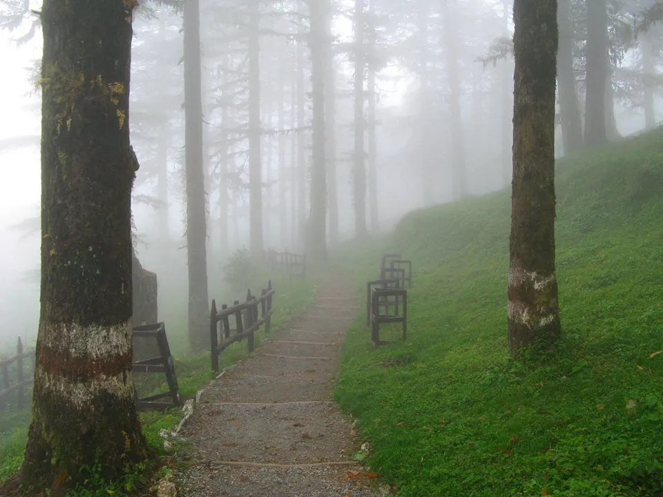 Dehradun → Lansdowne